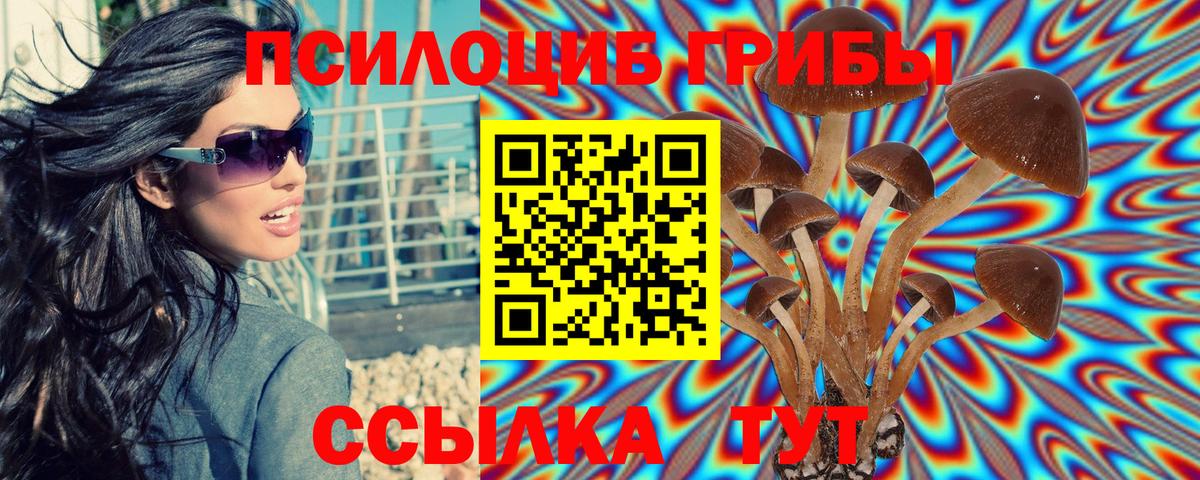 Псилоцибиновые грибы GOLDEN TEACHER  Вход с VPN  Татарск  Галлюциногенные грибы MAGIC MUSHROOMS 